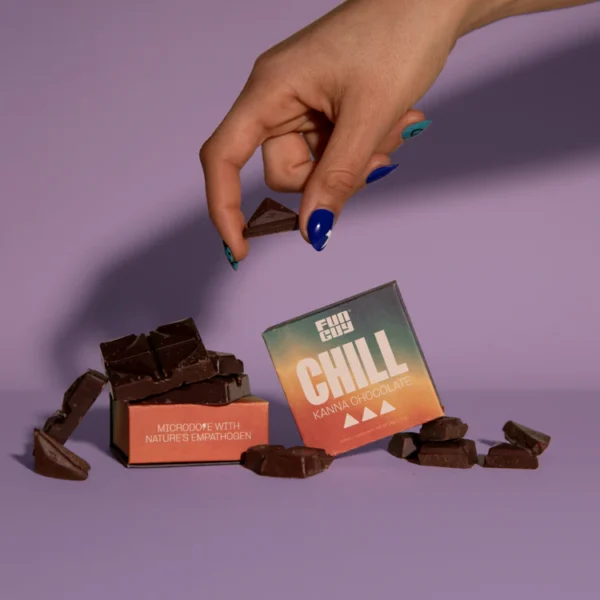 Funguy Chill Chocolate Mushroom Bar Funguy Chill Chocolate Mushroom Bar