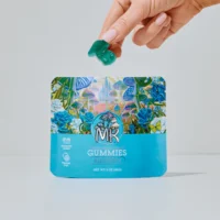 Magic Kingdom Blueberry Mushroom Gummies
