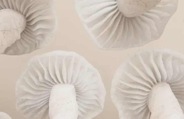 What is psilocybin?