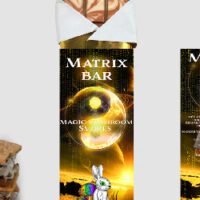 Matrix Genetix Smores Mushroom Chocolate Bar for Creative Energy