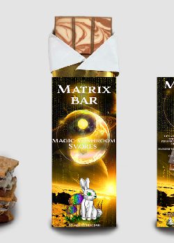 Matrix Genetix Smores Mushroom Chocolate Bar for Creative Energy Matrix Genetix Smores Mushroom Chocolate Bar for Creative Energy