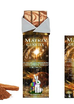 Matrix Genetix Cinnamon Toast Crunch Mushroom Bar for a Nostalgic Brain Boost Matrix Genetix Cinnamon Toast Crunch Mushroom Bar for a Nostalgic Brain Boost