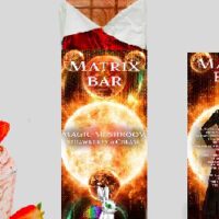 Matrix Genetix Strawberries and Cream Mushroom Bar for Cognitive Uplift