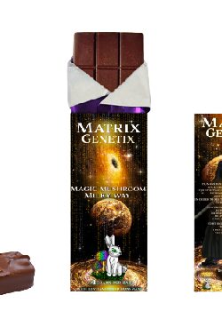 Matrix Genetix Cookies and Cream Bar for Cognitive Wellness Matrix Genetix Cookies and Cream Bar for Cognitive Wellness