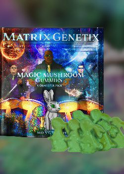 Matrix Genetix Functional Mushroom Gummies for Clarity & Focus Matrix Genetix Functional Mushroom Gummies for Clarity & Focus