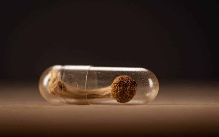 Understanding Psilocybin Microdosing