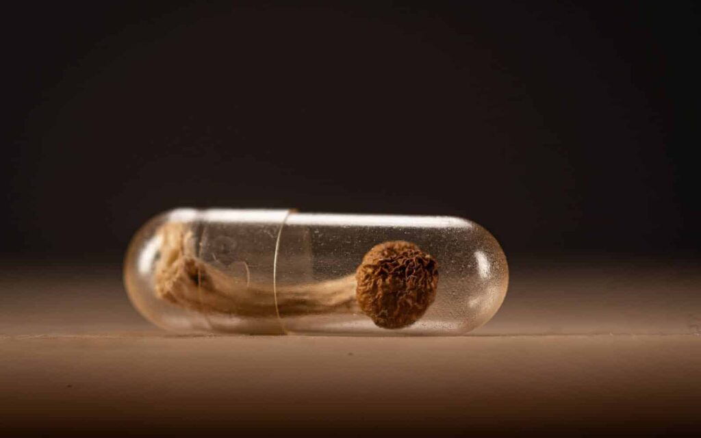 Understanding Psilocybin Microdosing