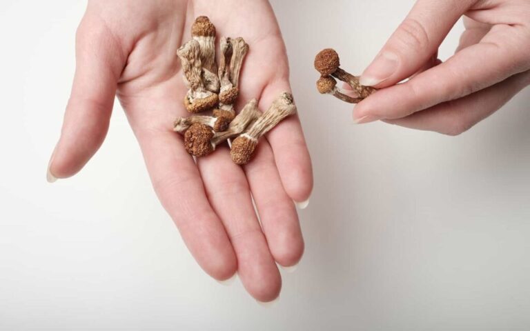 Popular Microdosing Regimens