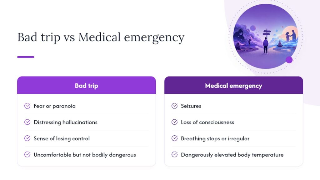 6 Steps to Calm a Bad Trip, Backed by Public Health Sources